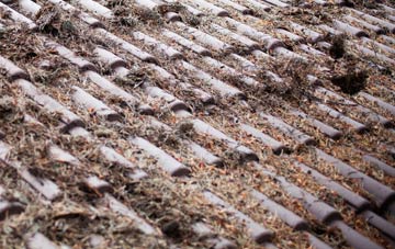 Whiteacre roof cleaning companies