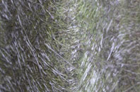 Whiteacre fibreglass roof work